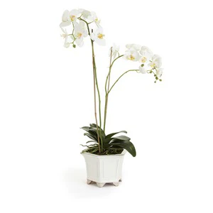 BARCLAY BUTERA PHALAENOPSIS IN CERAMIC POT 31" - Image 3