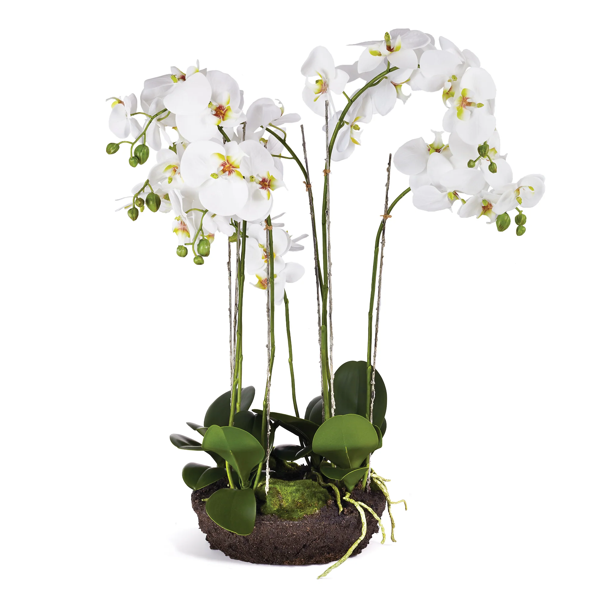PHALAENOPSIS BOWL DROP-IN 31.5"