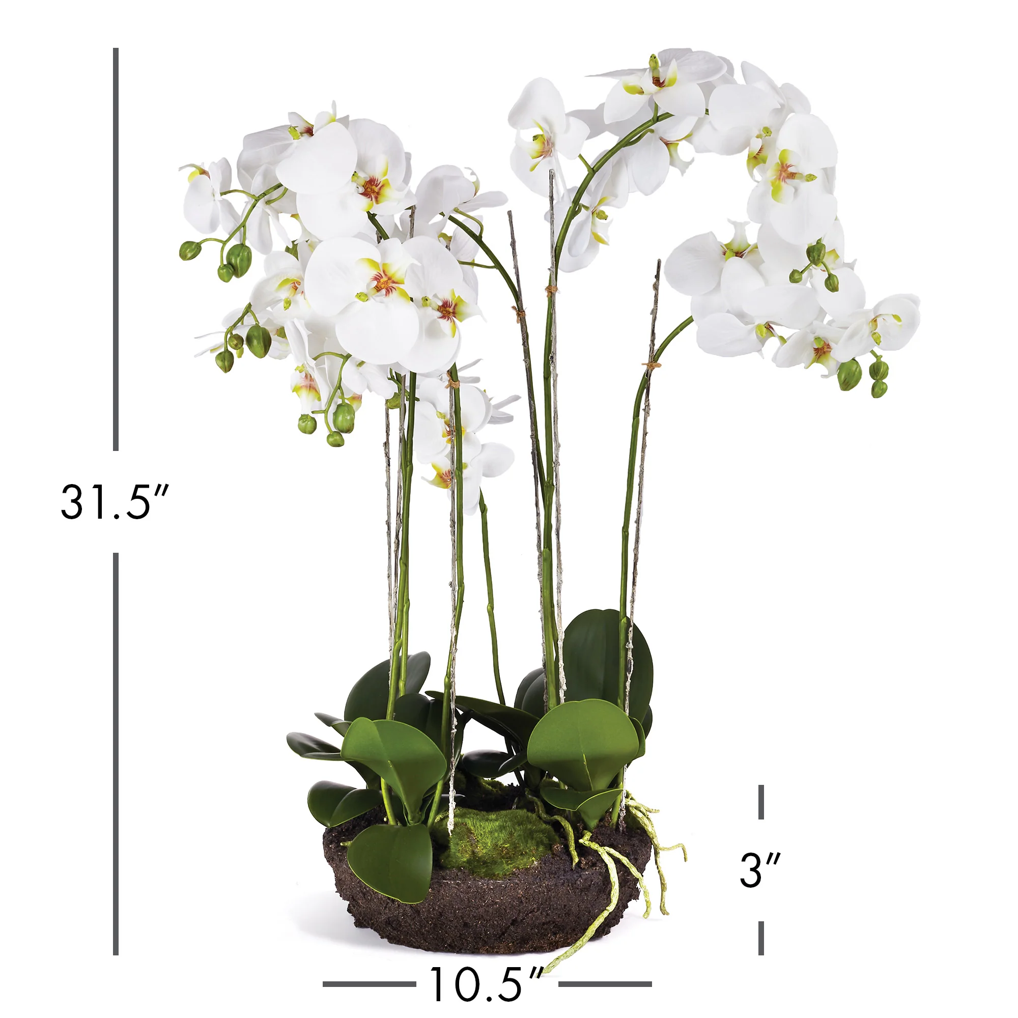 PHALAENOPSIS BOWL DROP-IN 31.5" - Image 3