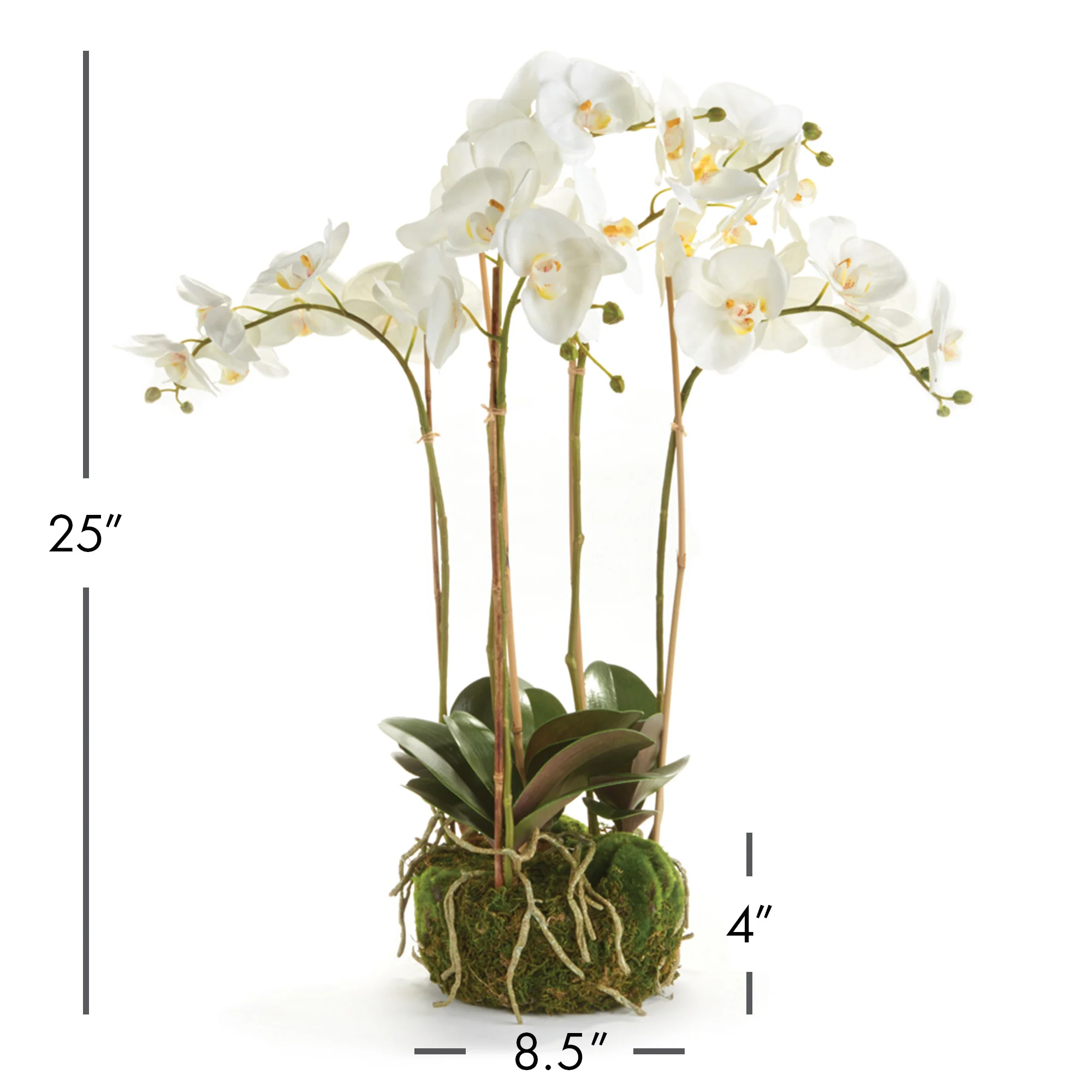 PHALAENOPSIS ORCHID BOWL DROP-IN 25" - Image 3