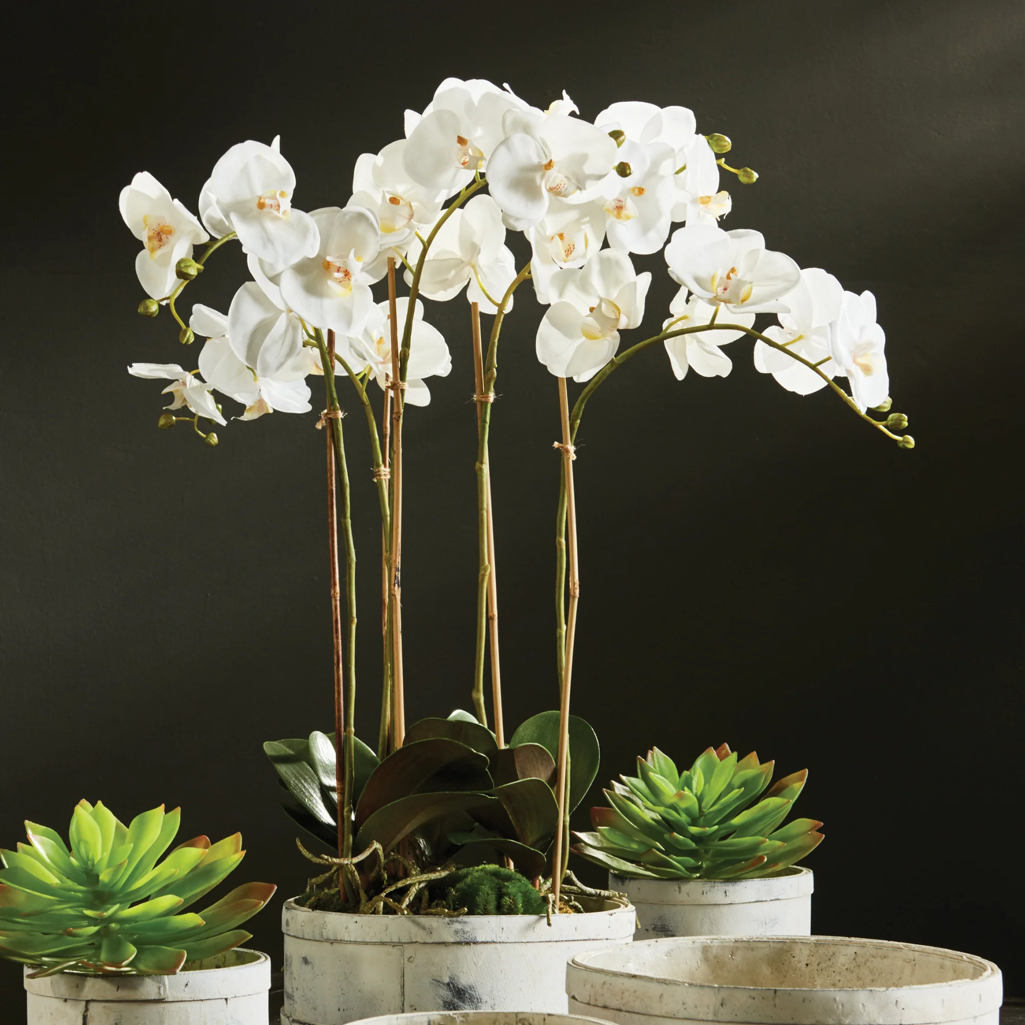 PHALAENOPSIS ORCHID BOWL DROP-IN 25" - Image 4