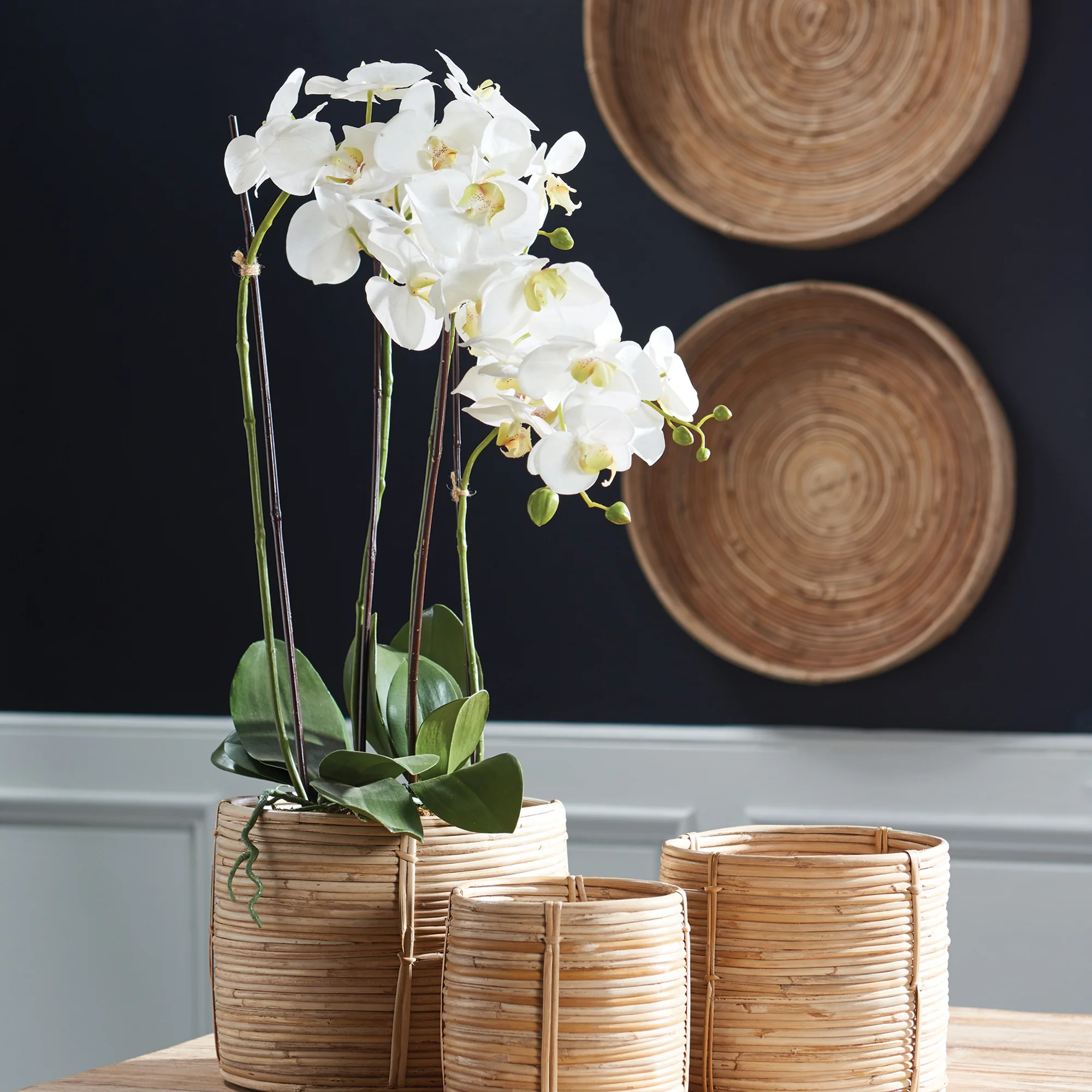 PHALAENOPSIS ORCHID DROP-IN 30" - Image 3