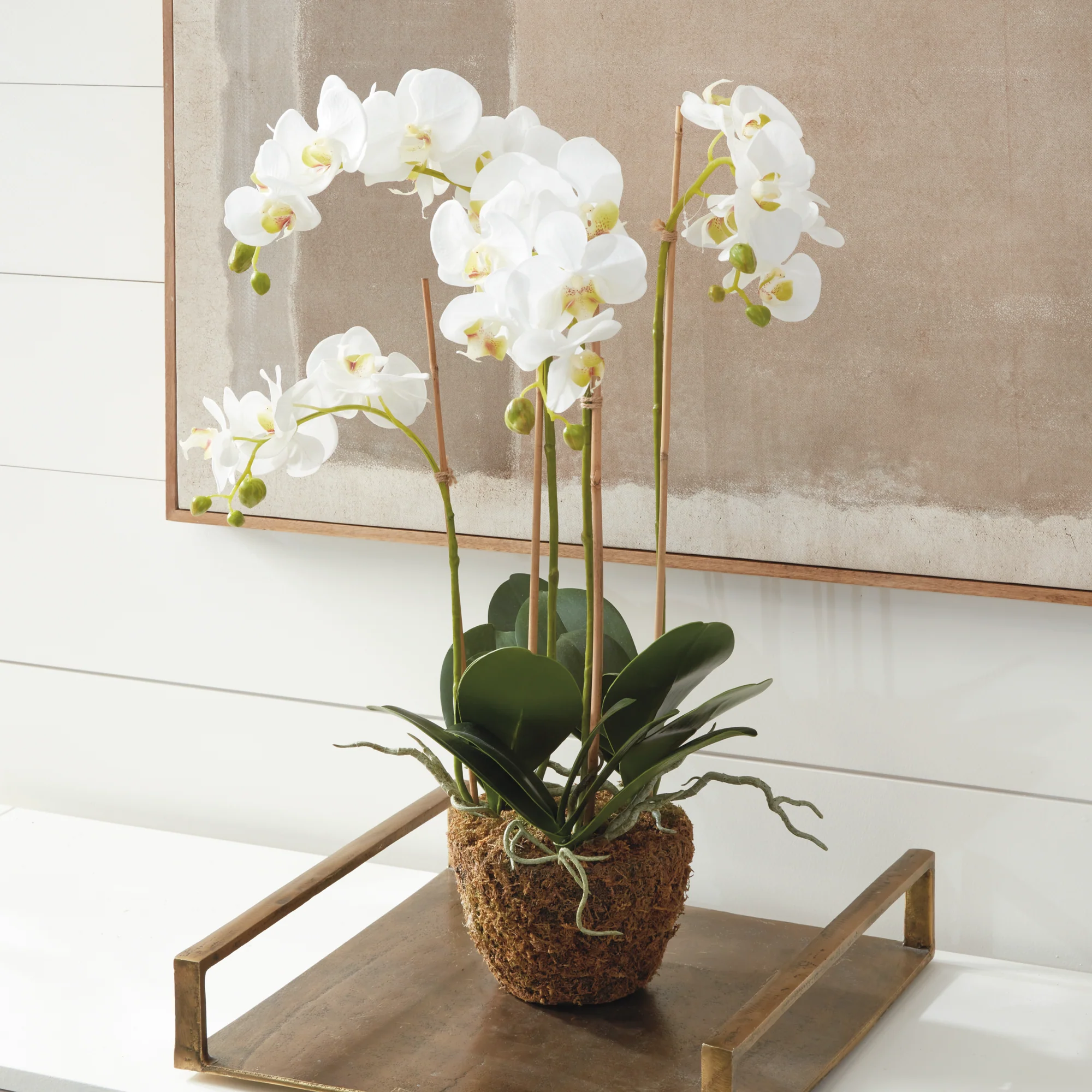 PHALAENOPSIS ORCHID DROP-IN 30" - Image 6