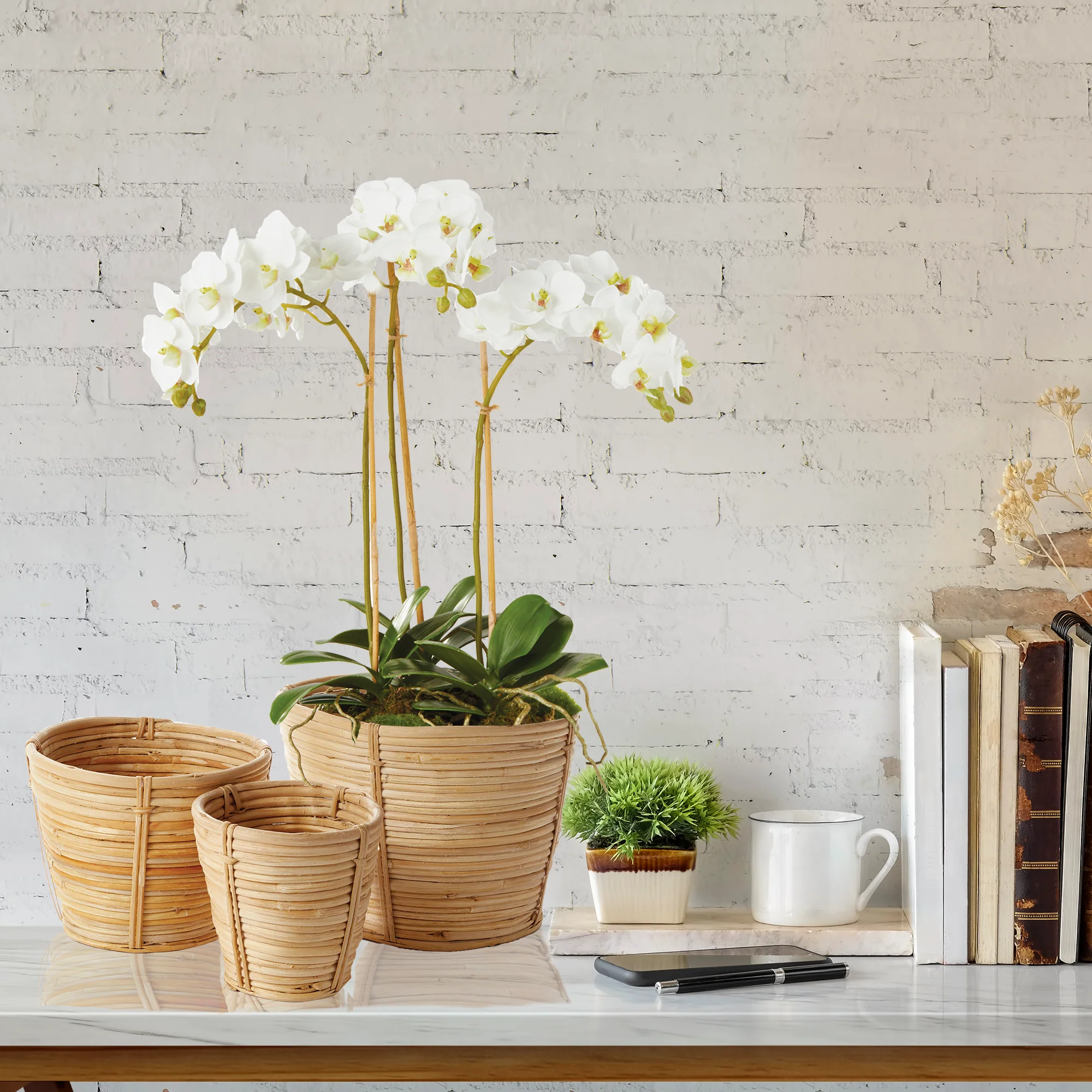 PHALAENOPSIS ORCHID MINI GARDEN DROP-IN 16" - Image 6