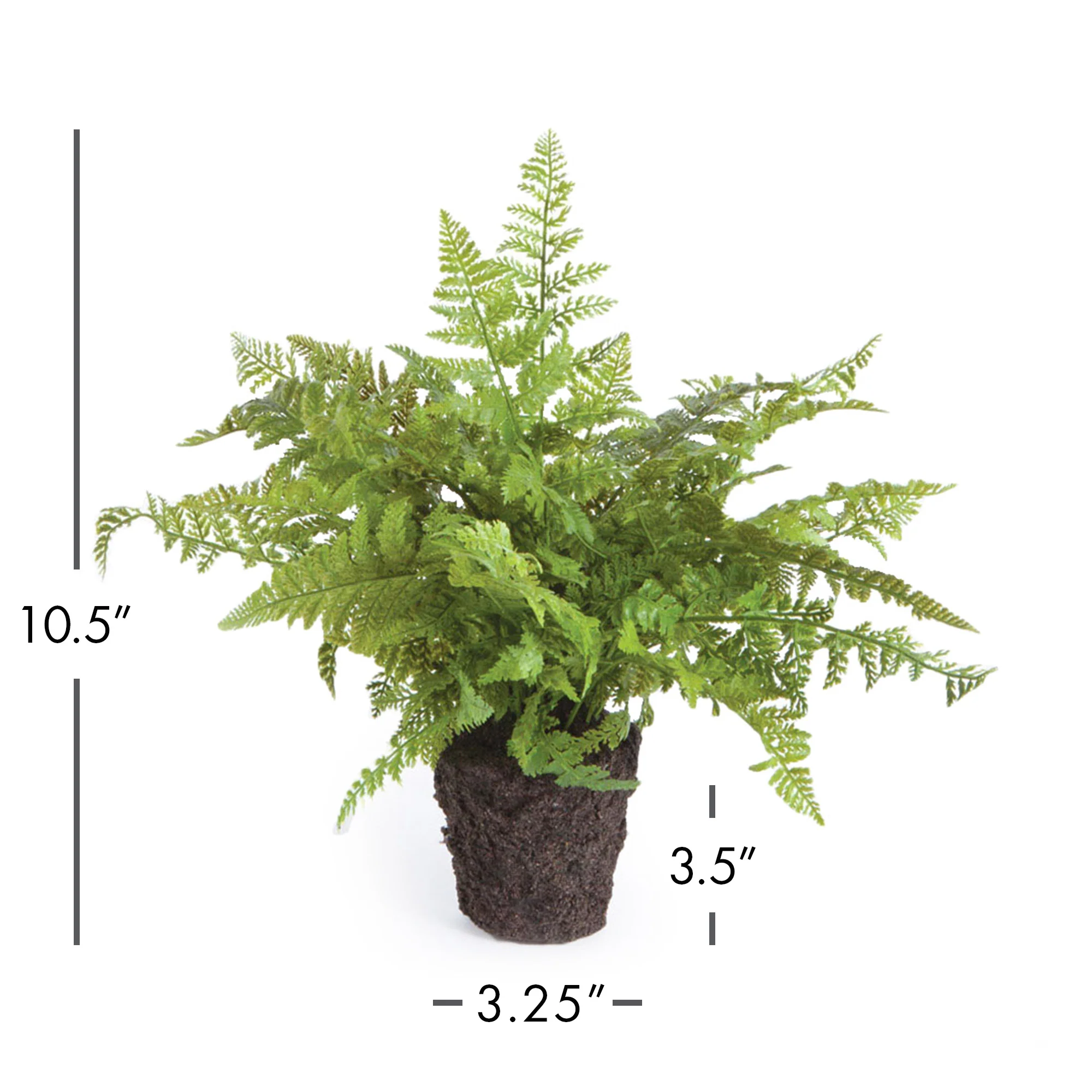 SOFT FERN DROP-IN 10.5" - Image 3