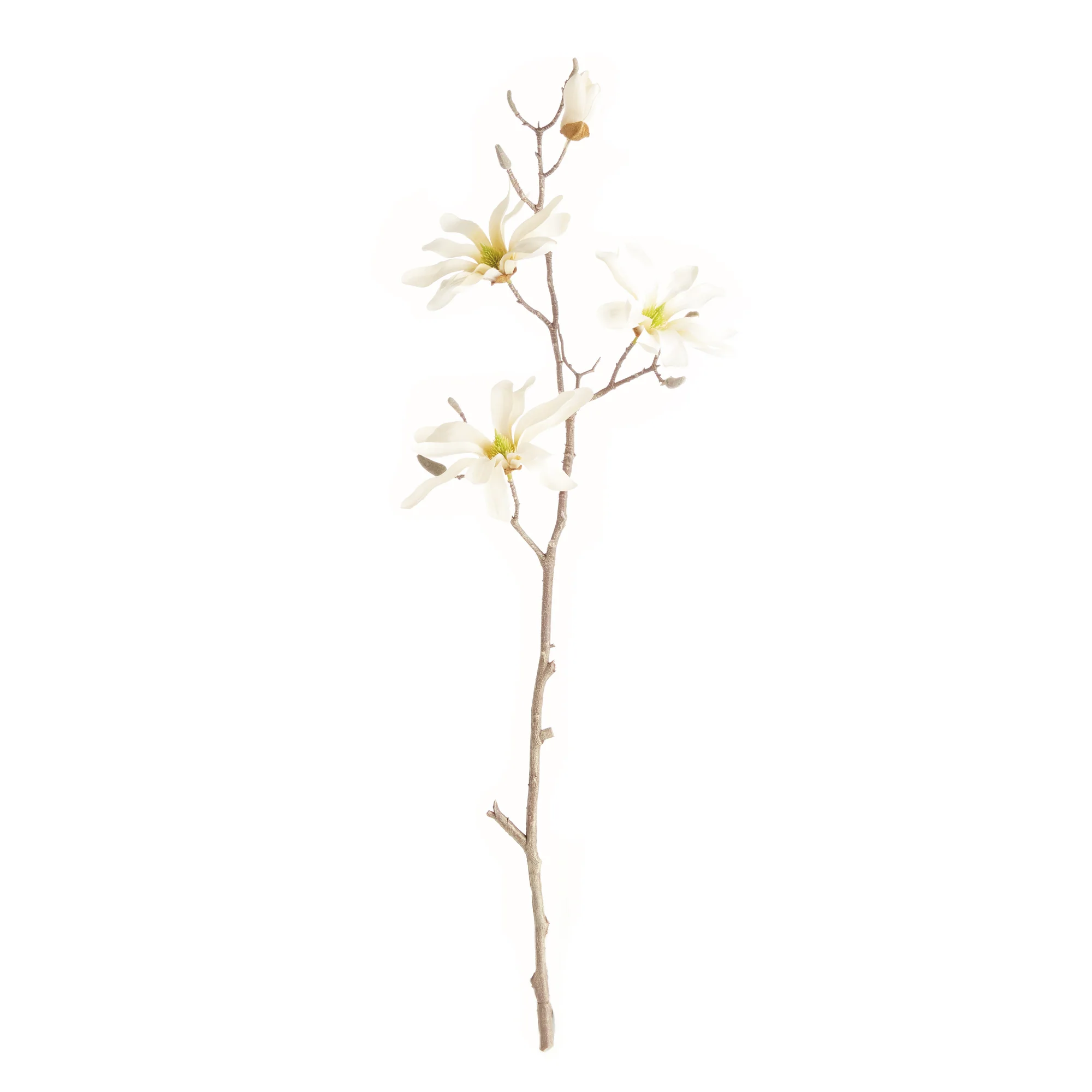 STAR MAGNOLIA BRANCHES 32", SET OF 6